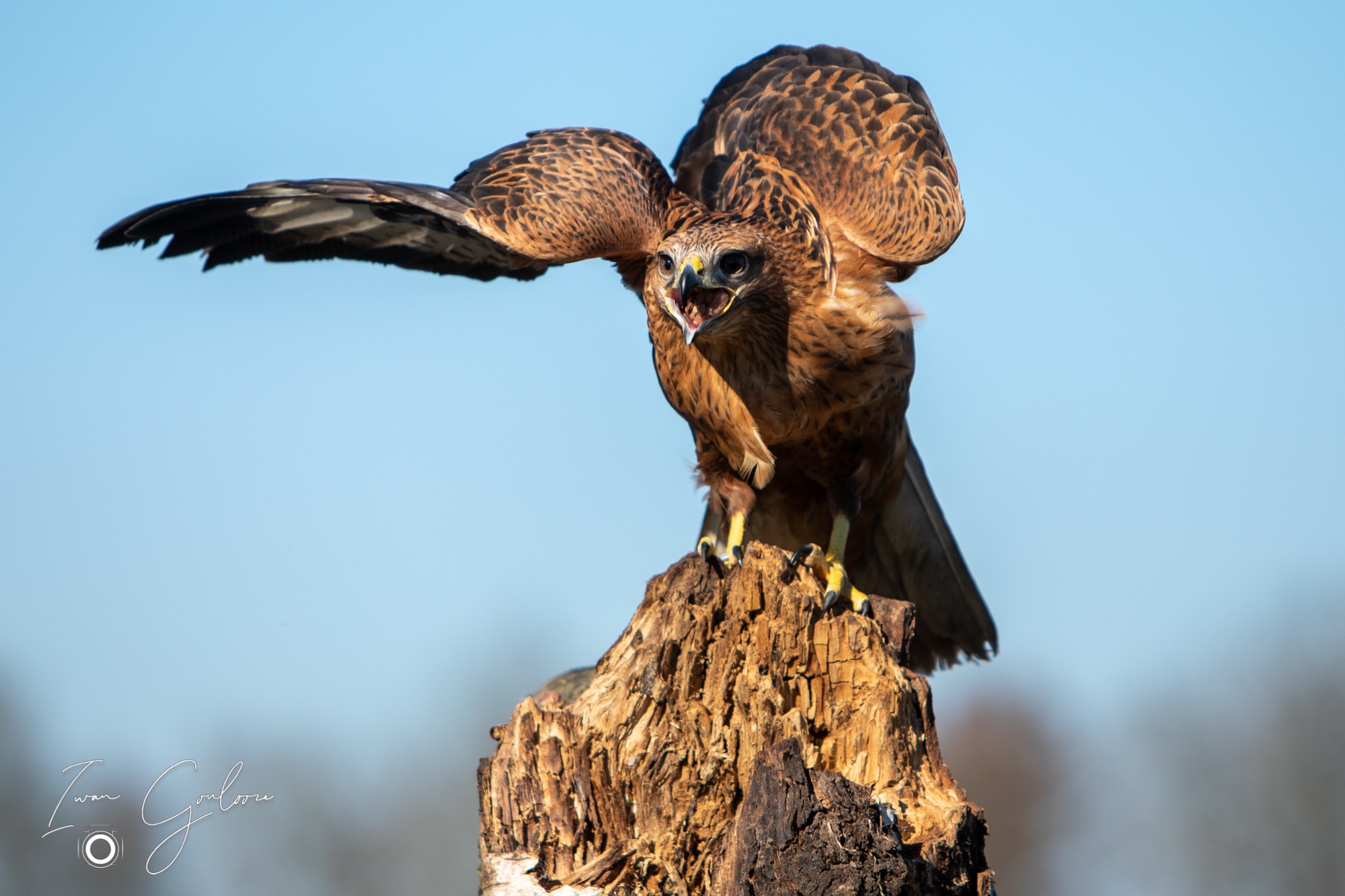 04 maart 2022 150545  5D44080